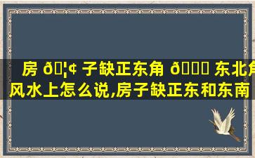 房 🦢 子缺正东角 🐝 东北角风水上怎么说,房子缺正东和东南角怎么化解